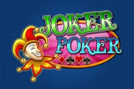 rgocasino user Mobile user and Brand